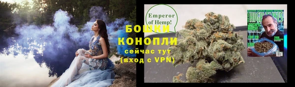 прущие крисы Аркадак