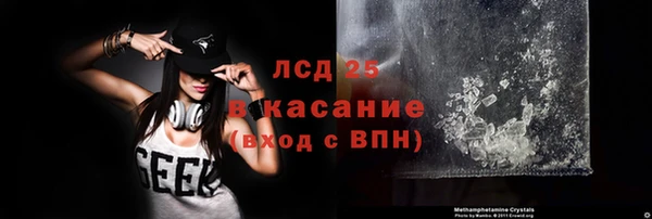 сатива Арсеньев
