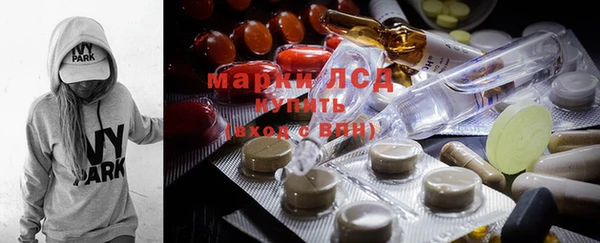 ПСИЛОЦИБИНОВЫЕ ГРИБЫ Баксан