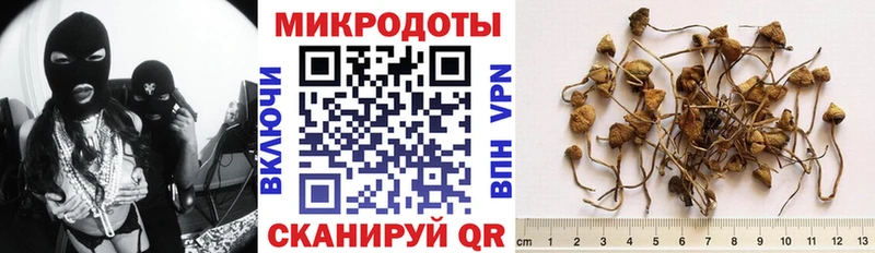 Псилоцибиновые грибы Psilocybine cubensis  kraken маркетплейс  Черногорск 