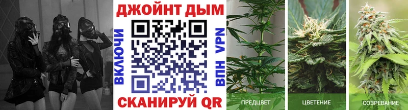 Бошки марихуана AK-47  Черногорск 